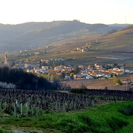 Au Coeur Des Vignes Chenas Du Beaujolais Apartment La Chapelle-de-Guinchay Exterior foto