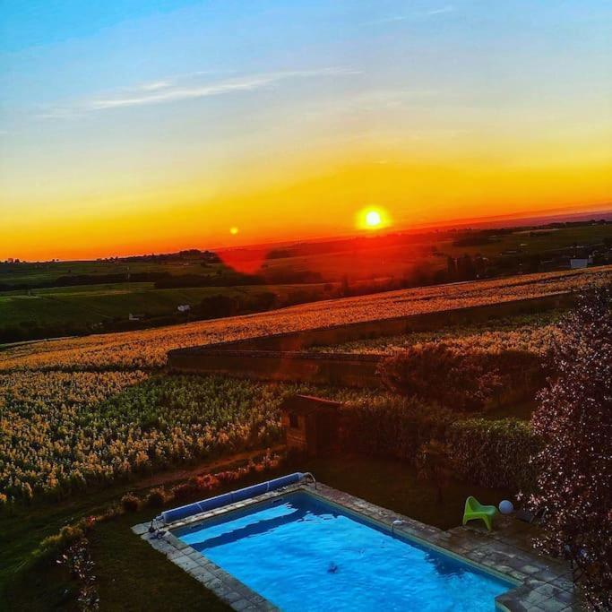 Au Coeur Des Vignes Chenas Du Beaujolais Apartment La Chapelle-de-Guinchay Exterior foto
