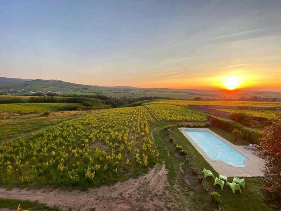 Au Coeur Des Vignes Chenas Du Beaujolais Apartment La Chapelle-de-Guinchay Exterior foto