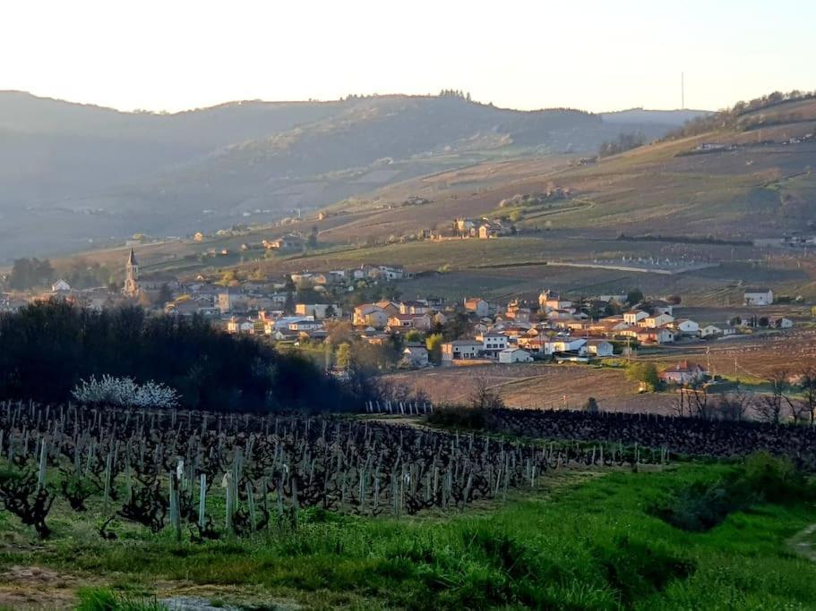 Au Coeur Des Vignes Chenas Du Beaujolais Apartment La Chapelle-de-Guinchay Exterior foto